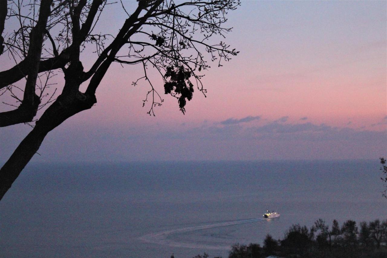 Villa Treglia B&B Formia Zewnętrze zdjęcie