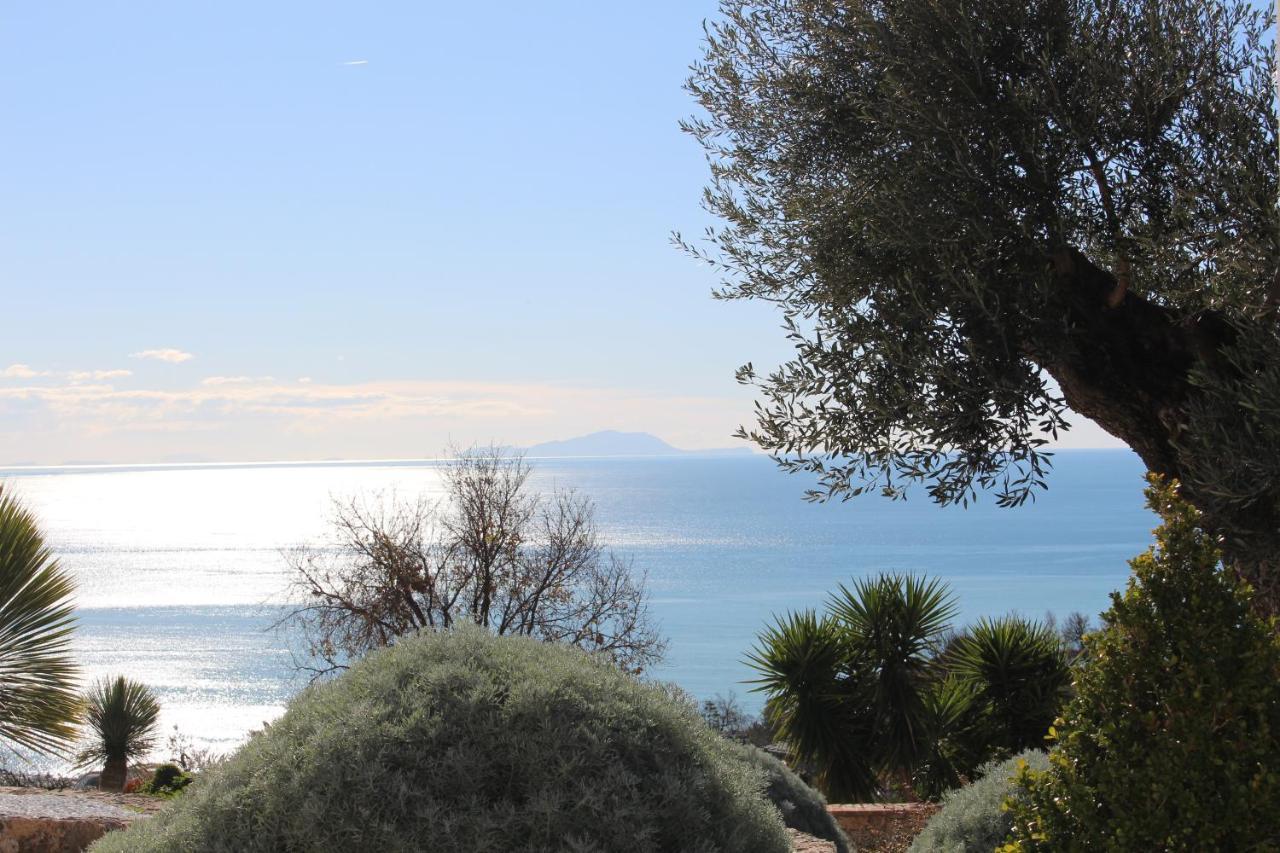 Villa Treglia B&B Formia Zewnętrze zdjęcie