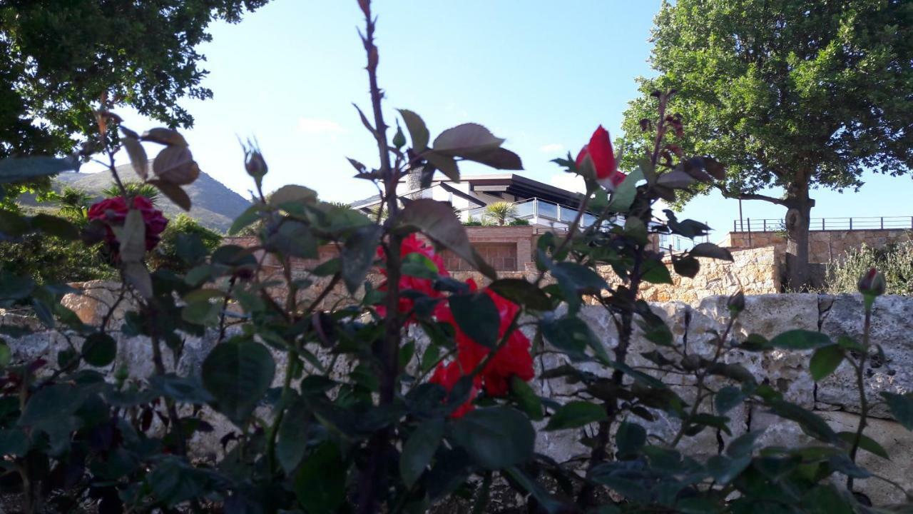 Villa Treglia B&B Formia Zewnętrze zdjęcie